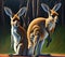 Australian kangaroo, Generative AI Illustration