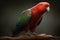Australian King Parrot, a medium-sized bird found in eastern Australia.