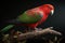 Australian King Parrot, a medium-sized bird found in eastern Australia.