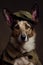 Australian Koolie dog wearing military army uniform, service dog, creative headshot portrait. Generative AI