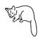 Australian kuzu color line illustration. Animals of Australia
