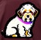 Australian Labradoodle Animal Style Print Design Logo. Generative AI.