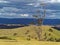 Australian landscape Central tablelands far view