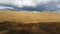 Australian Landscape Rural Country Establishing Shot - 4K