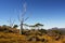 Australian landscape in Tasmania