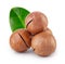 Australian macadamia nut with green leaf