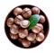 Australian macadamia nut with green leaf in brown clay plate