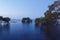 Australian mangrove trees at sunset