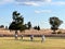 Australian men playing cricket in local park