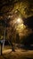Australian night landscape in glen Waverley