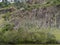 The Australian organ pipes national park