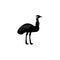 Australian ostrich icon. Elements of the fauna of Australia icon. Premium quality graphic design icon. Baby Signs, outline symbols