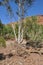 Australian outback dry riverbed drought