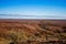 Australian outback landscape nature. View from Mundi Mundi Lookout, Outback NSW, Australia