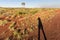 Australian outback landscape with the photographer`s shadow in the foreground