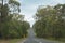 Australian outback road along bush, forest with yellow road sign