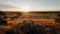 Australian outback at sunset - amazing travel photography - made with Generative AI tools