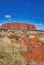 Australian Outback vegetation and red rocks, Northern Territory