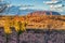 Australian Outback vegetation and red rocks, Northern Territory