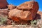 Australian Outback vegetation and red rocks, Northern Territory