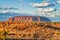 Australian Outback vegetation and red rocks, Northern Territory