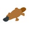 Australian platypus icon, isometric 3d style