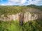 Australian rainforest. Springbrook National Park.