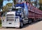 Australian road train truck