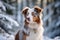 Australian Shepherd full-length Against the backdrop of a beautiful winter forest . Ai Generated