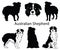 Australian shepherd set. Collection of pedigree dogs. Black white illustration of a australian shepherd dog. Vector