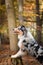 Australian shepherd is standing on stump