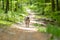 Australian Shepherd walking on path through forest at german inner border long way