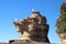 Australian Silver Gulls on an eroded weathered rock