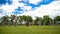 Australian Standing Stones