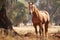 Australian Stock Horse - Australia (Generative AI)