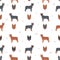 Australian stumpy tail cattle dog all colours seamless pattern. Different coat colors and poses set