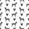 Australian stumpy tail cattle dog seamless pattern