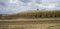 Australian Sugarcane Plantation