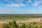 Australian summer countryside landscape of wetlands with green grass