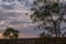 Australian Sunrise near Uluru