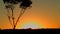 Australian Sunset Landscape Establishing Shot