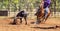 Australian Team Calf Roping At Country Rodeo