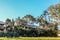 Australian veranda house almost hidden in tropical greenery including gum and palm trees under blue sky