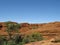 Australian Watarrka National Park