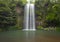 Australian waterfall Millaa Millaa Falls, North Queensland, Australia