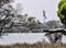 Australian White Ibises: Taking Flight at Lake Coogee