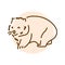 Australian wombat color line illustration. Animals of Australia