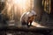 Australian wombat wandering through a sunlit forest