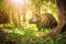 Australian wombat wandering through a sunlit forest