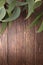 Australian Wood Background eucalyptus Gum Leaves